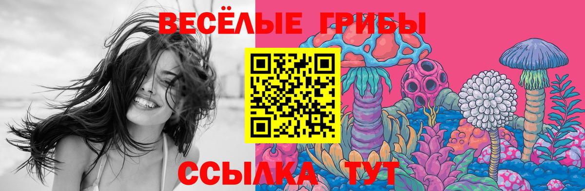 Псилоцибиновые грибы GOLDEN TEACHER  Вход с VPN  Сокол 